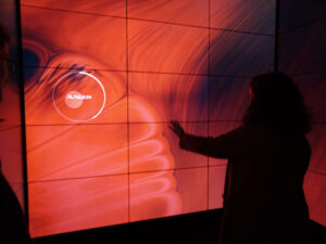 Isabelle Gillet musées expositions